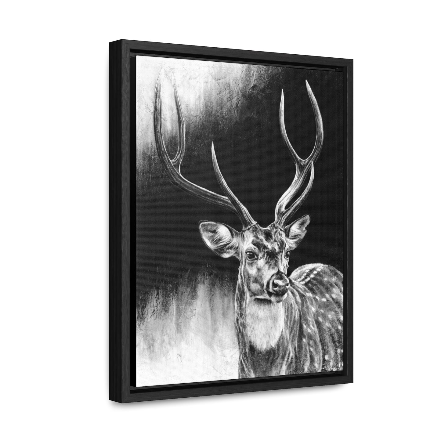 "Axis Buck" Gallery Wrapped/Framed Canvas