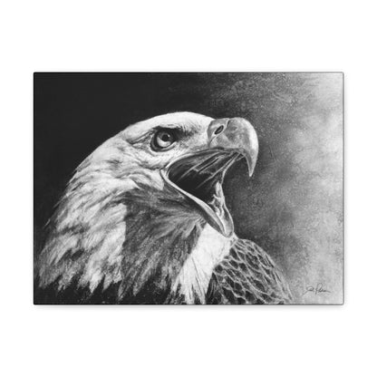 "Bald Eagle" Gallery Wrapped Canvas