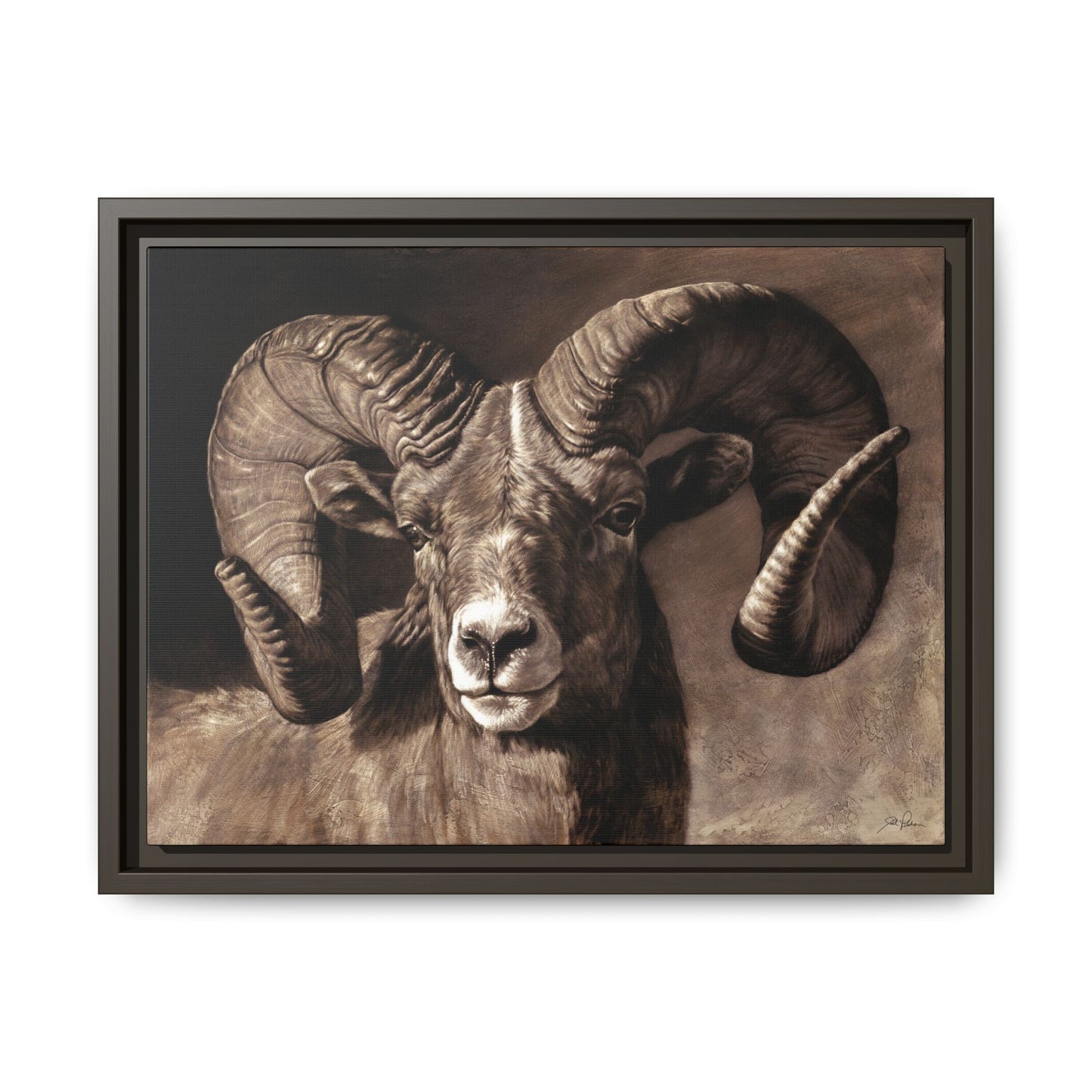 "Full Curl" Framed Canvas