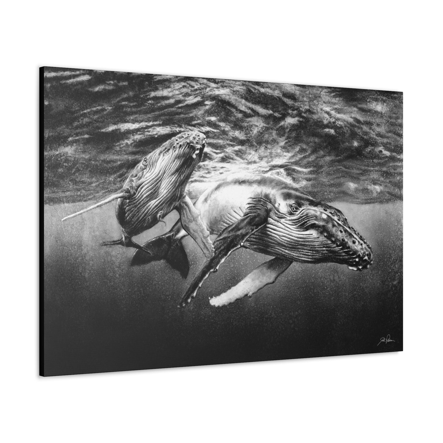 "Humpback Whales" Gallery Wrapped Canvas