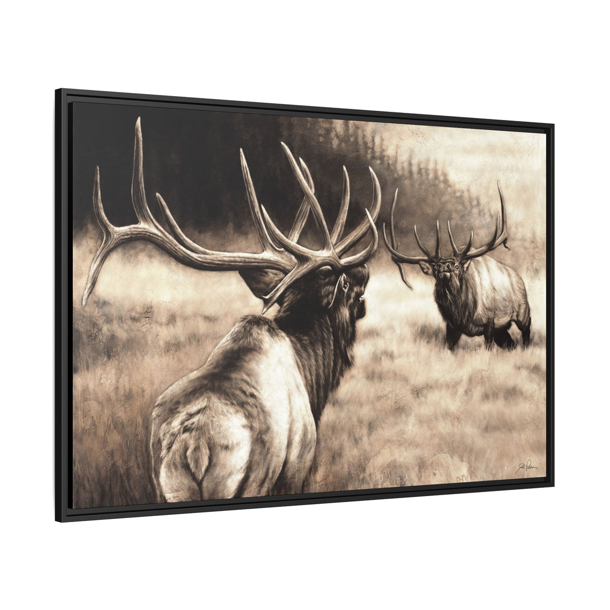 "Ready to Rumble" Framed Canvas