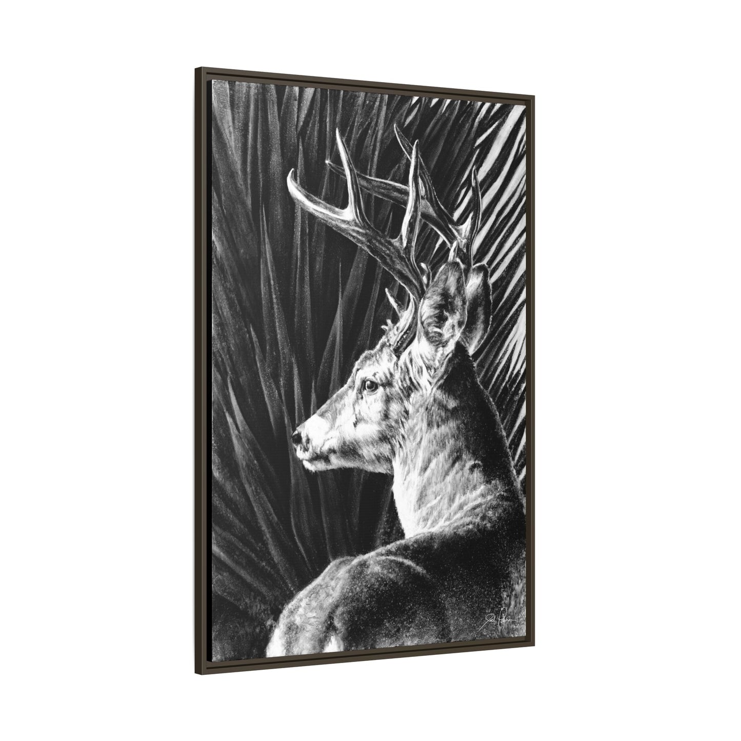 "Coues Buck" Framed Canvas