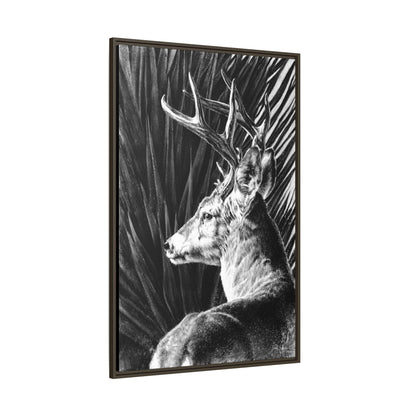 "Coues Buck" Framed Canvas