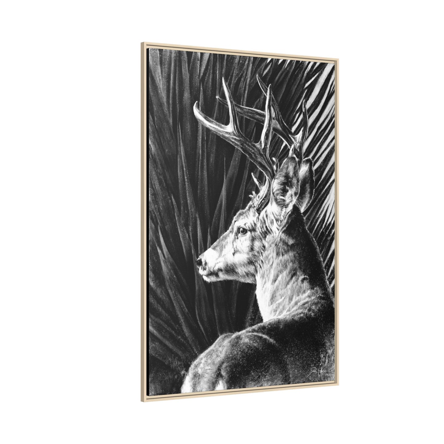 "Coues Buck" Framed Canvas