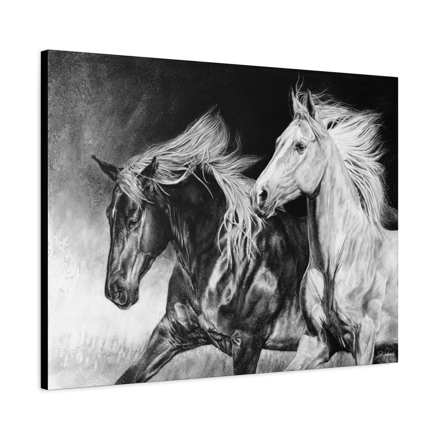 "Dynamic Duo" Stretched Canvas