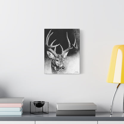 "Whitetail Buck" Stretched Canvas