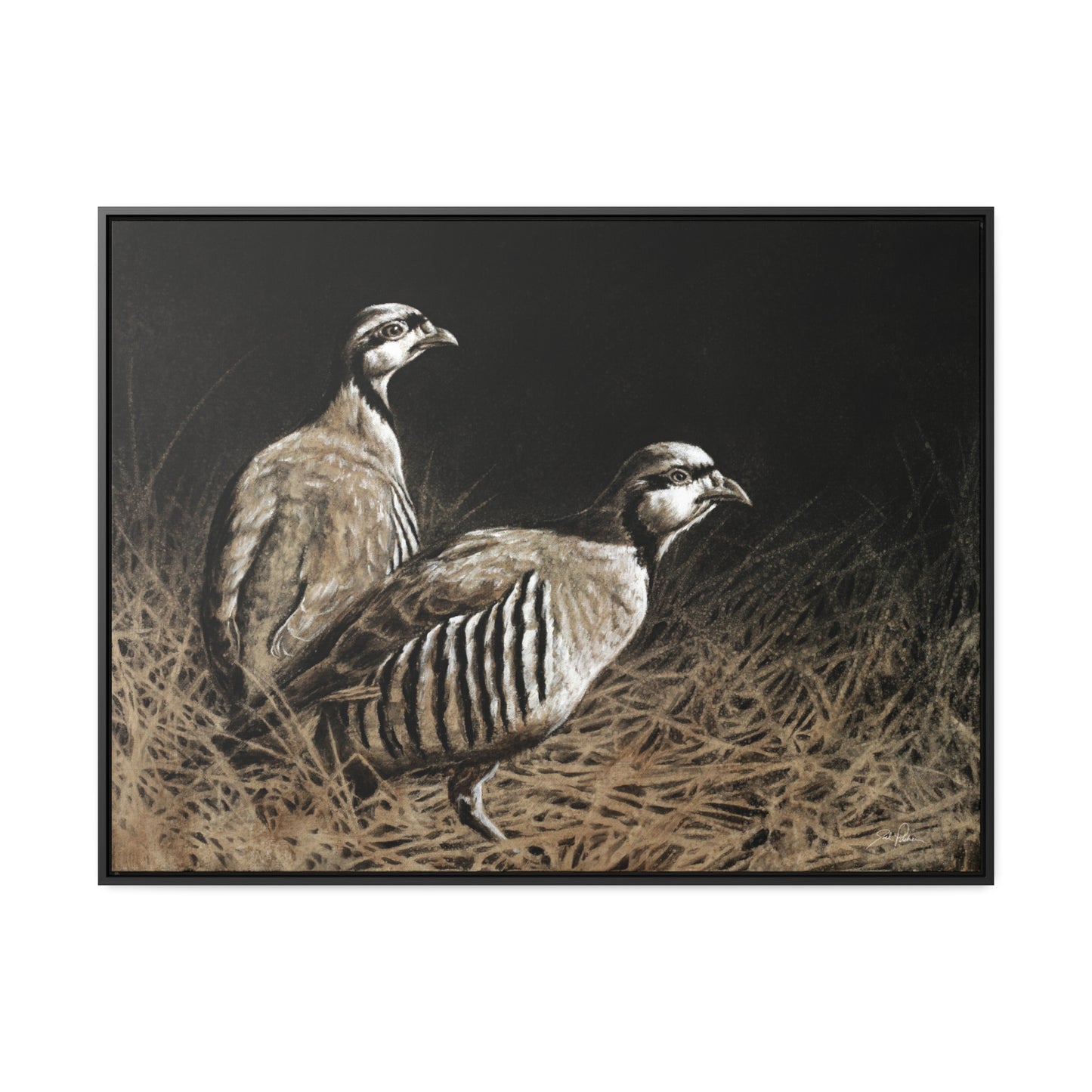 "Chukars" Gallery Wrapped/Framed Canvas