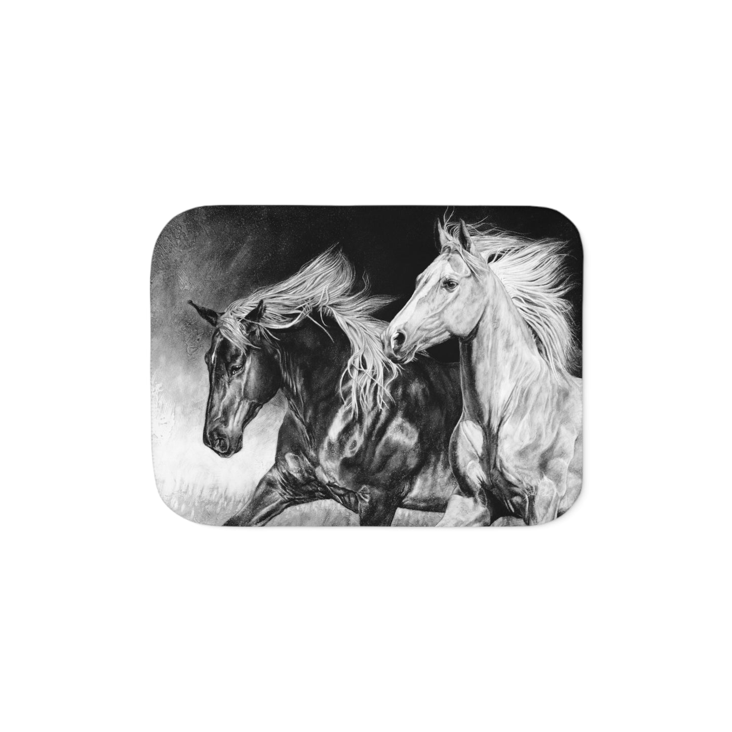 "Dynamic Duo" Sherpa Blanket.