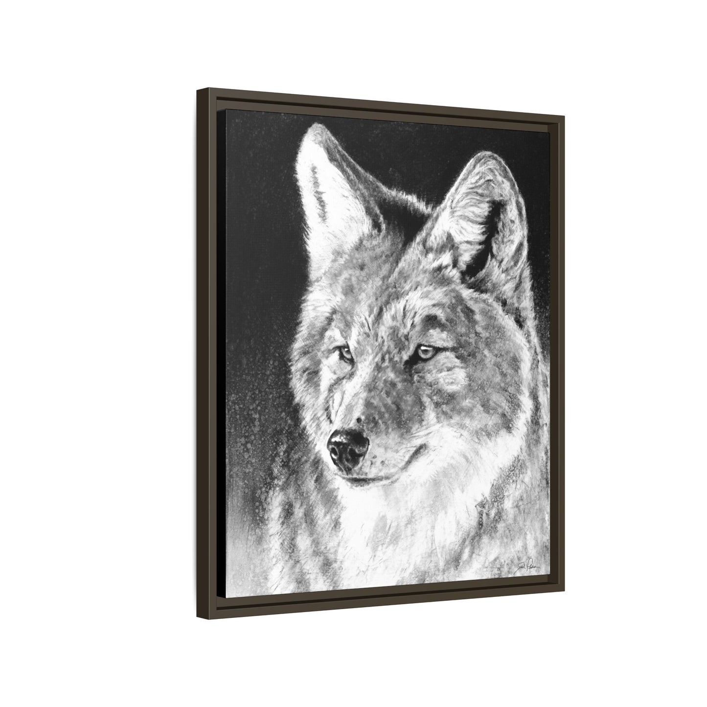 "Coyote II" Framed Canvas