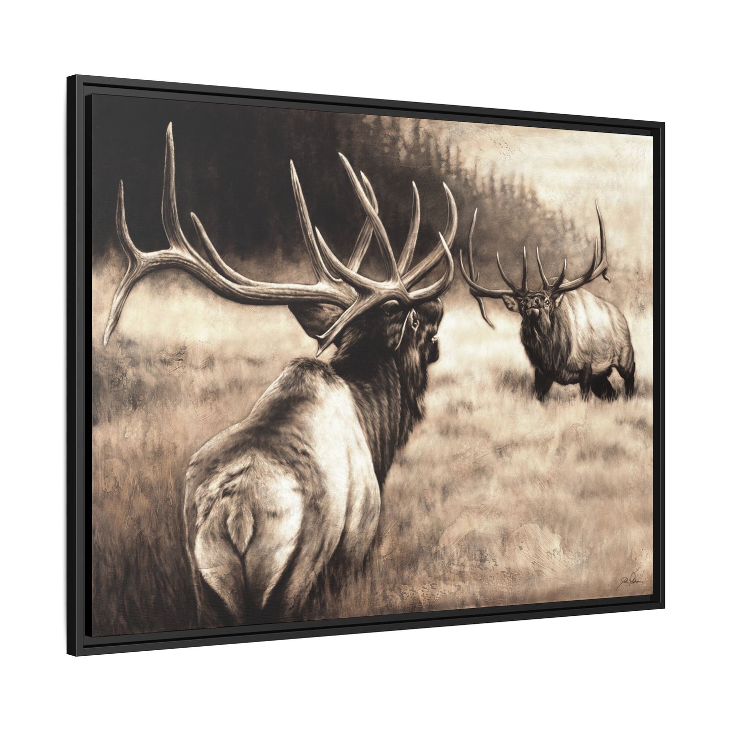 "Ready to Rumble" Framed Canvas
