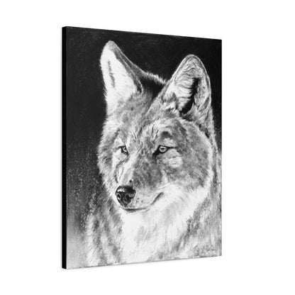 "Coyote II" Stretched Canvas