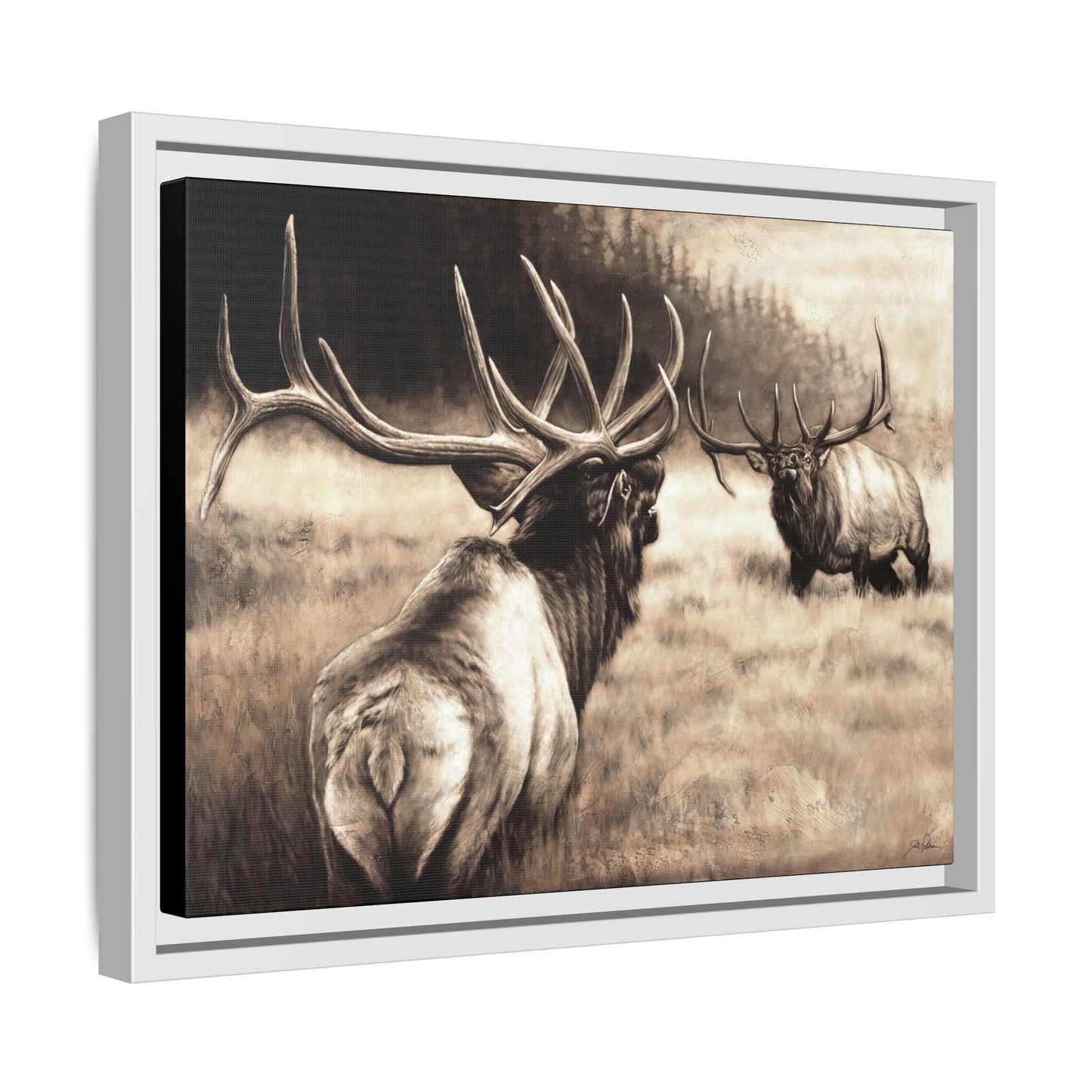 "Ready to Rumble" Framed Canvas