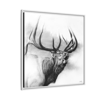 "Rocky Mountain King" Framed Canvas