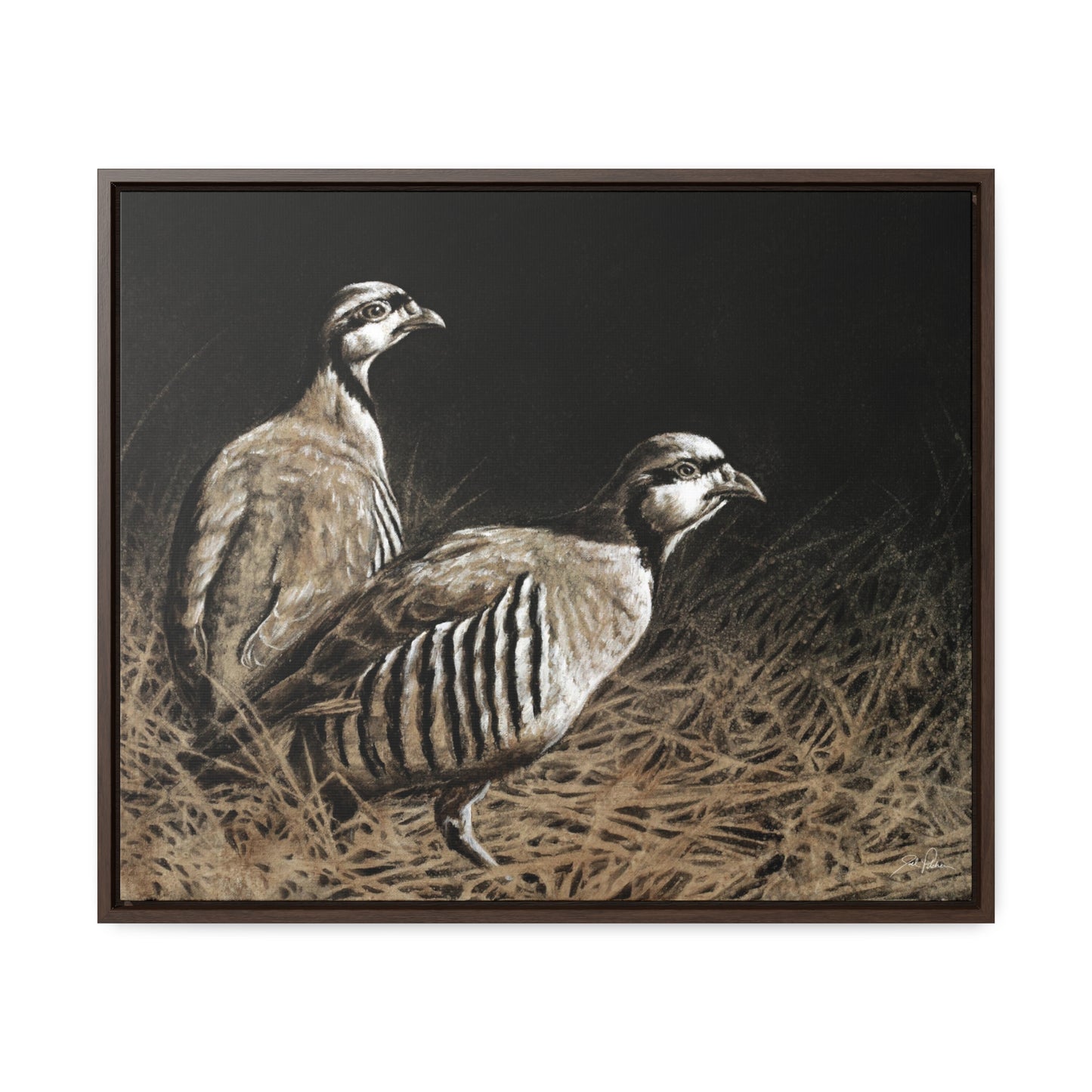 "Chukars" Gallery Wrapped/Framed Canvas