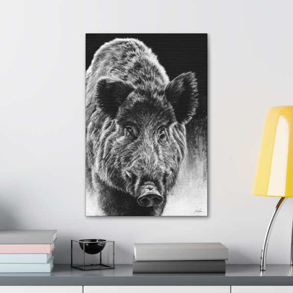 "Wild Boar" Gallery Wrapped Canvas