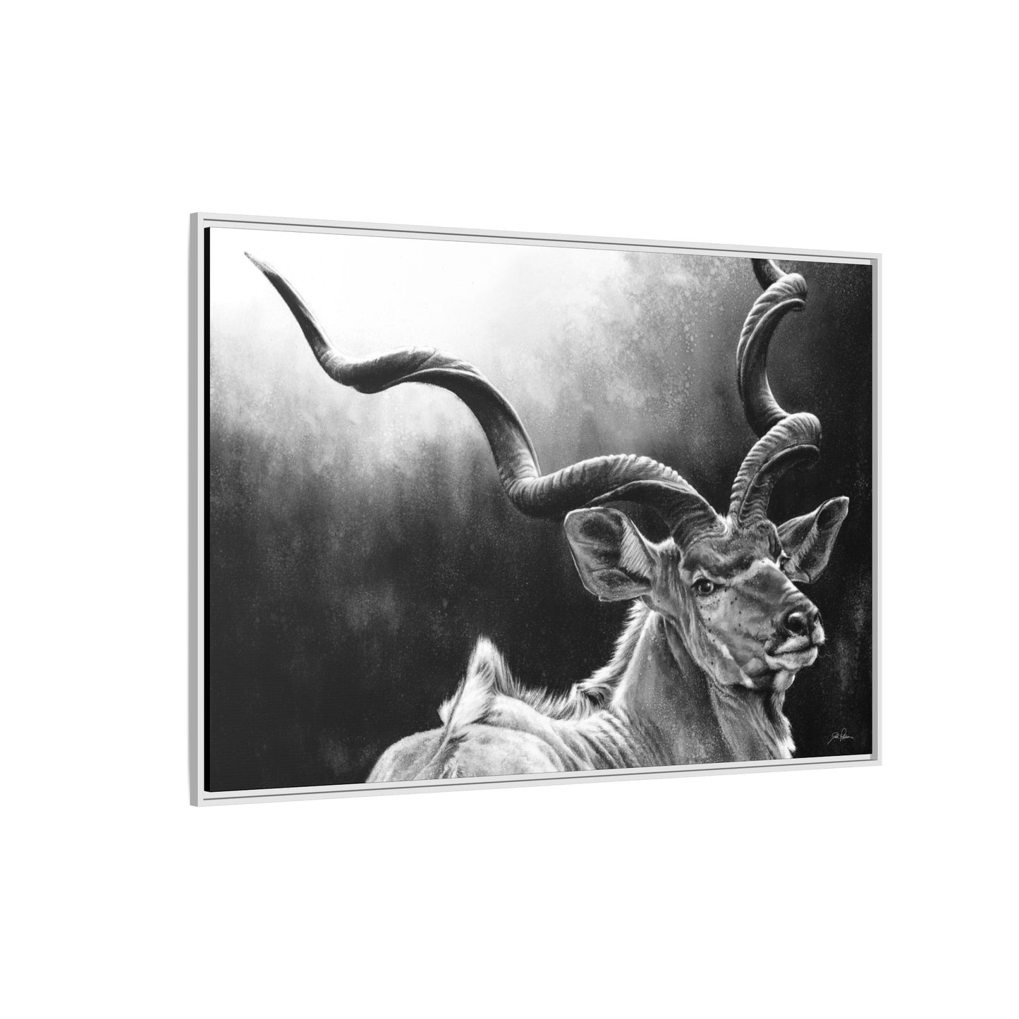 "Kudu" Framed Canvas