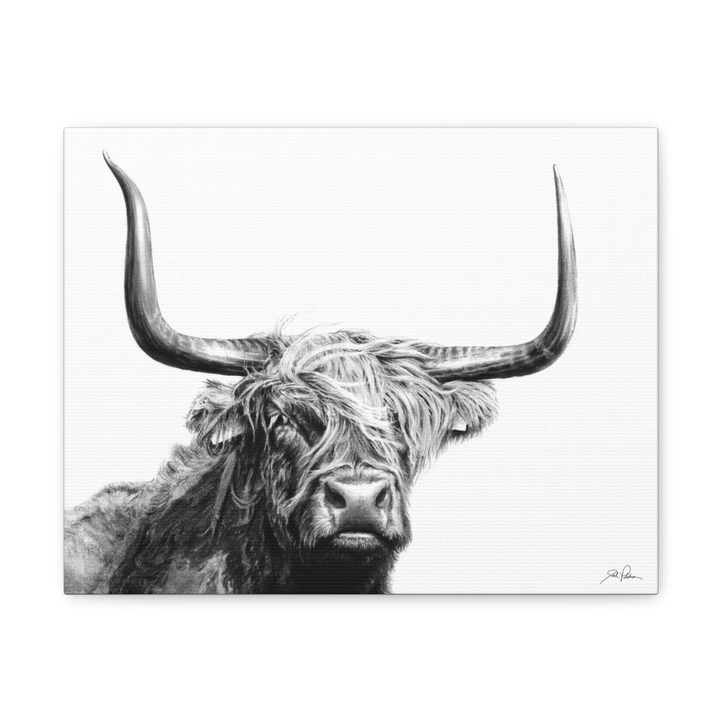 "Highlander" Gallery Wrapped Canvas