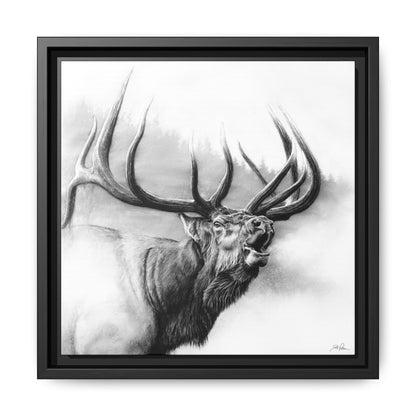 "Rocky Mountain King" Framed Canvas