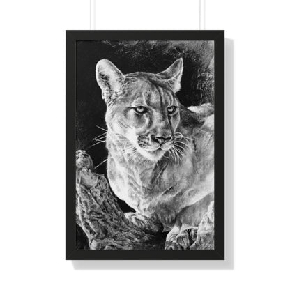 "Mountain Lion" Framed Paper Print