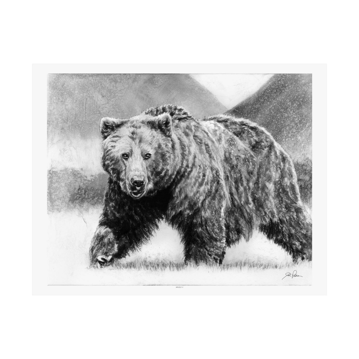 "Grizzly II" Premium Matte Paper Print