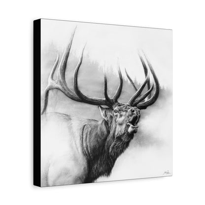 "Rocky Mountain King" Stretched Canvas