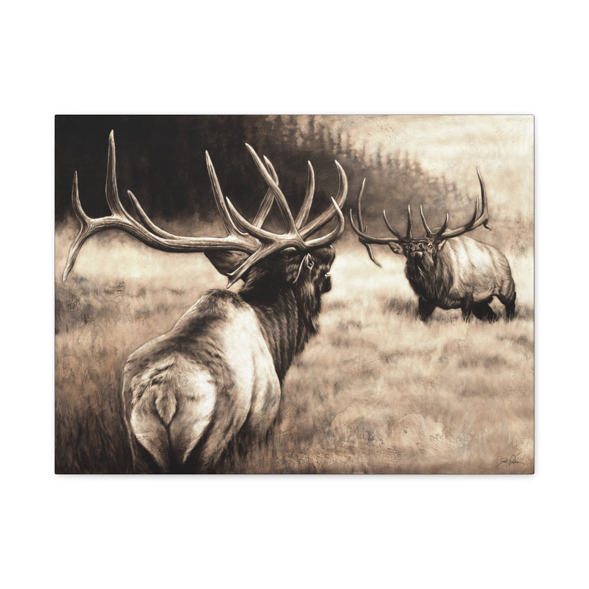 "Ready to Rumble" Stretched Canvas
