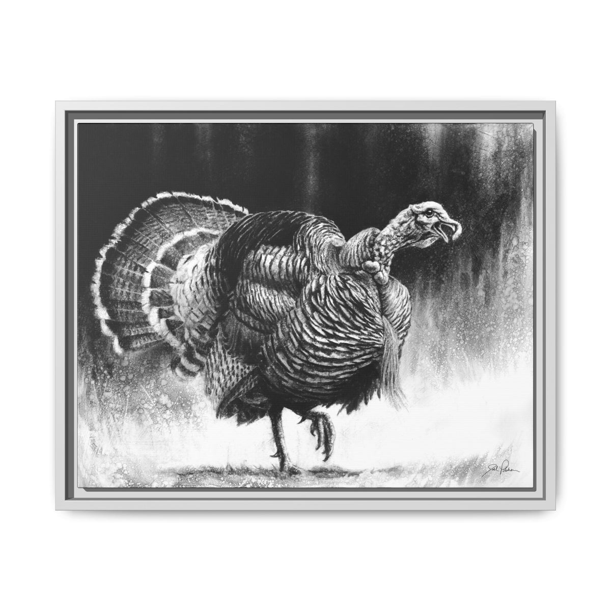 "Gobbler" Framed Canvas