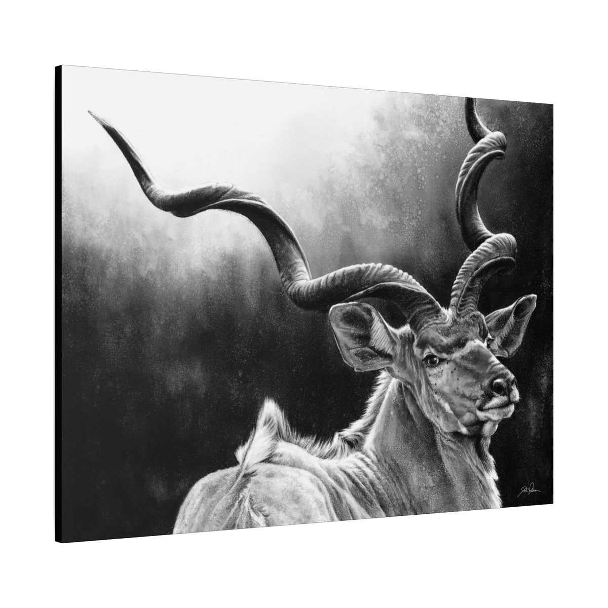 "Kudu" Stretched Canvas