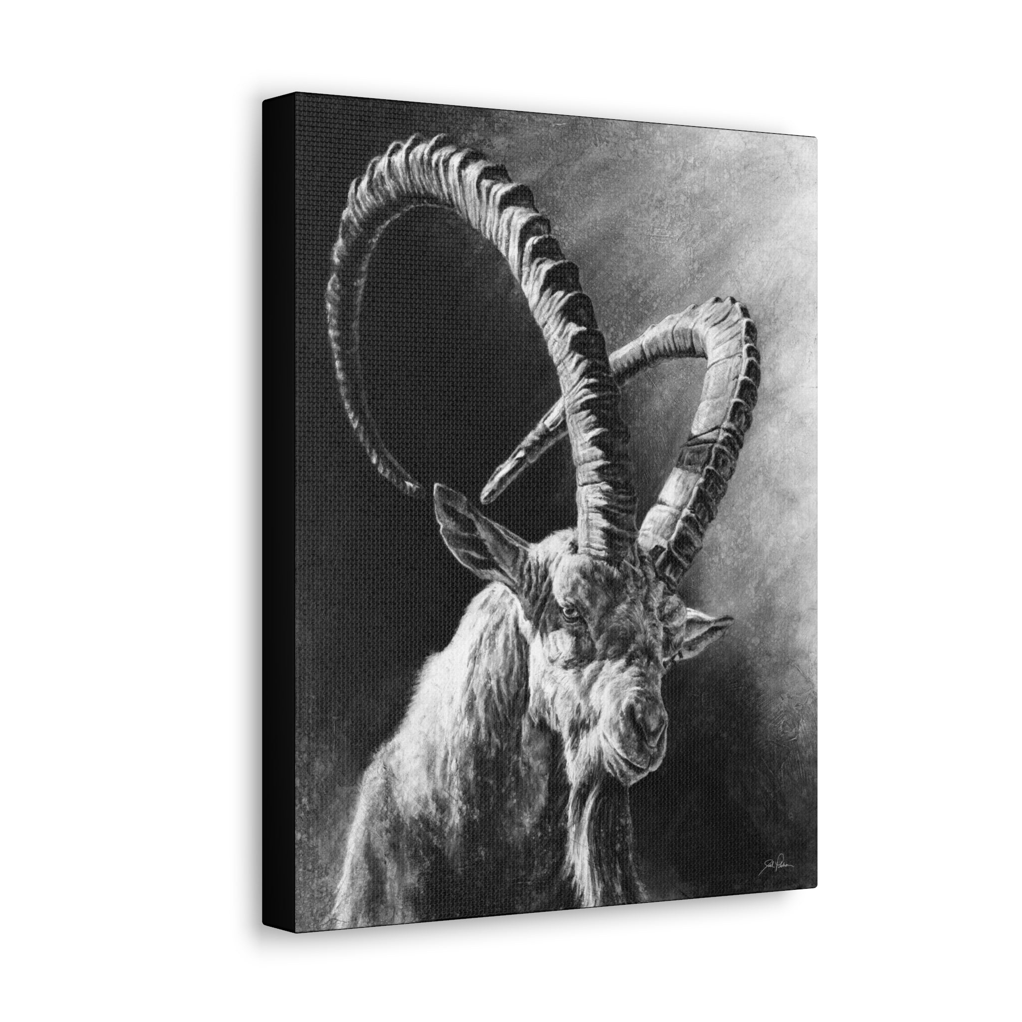 "Ibex" Gallery Wrapped Canvas