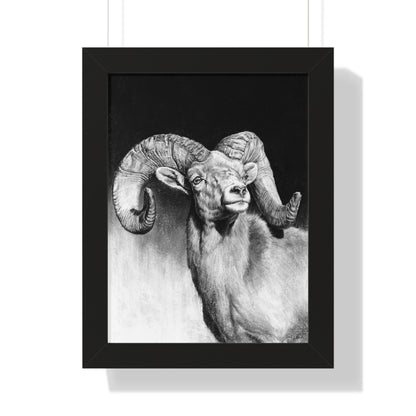 "Bighorn" Framed Paper Print