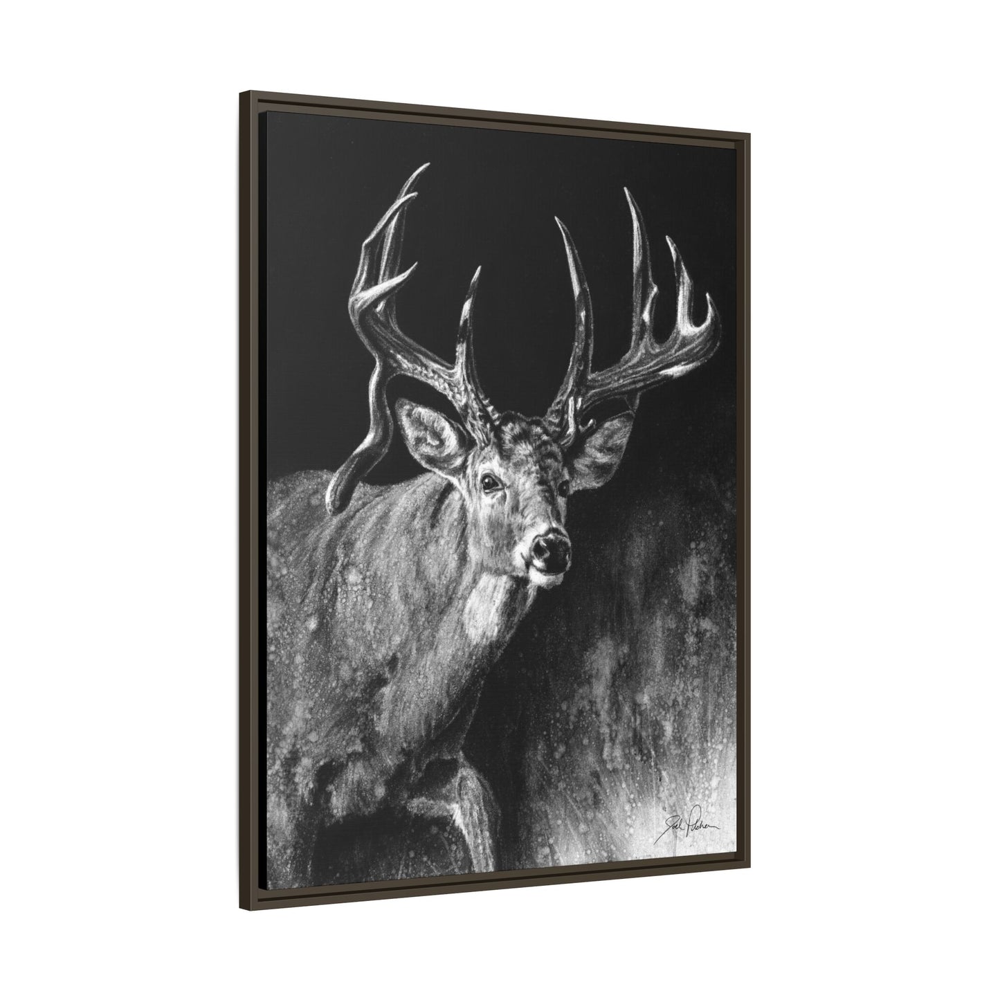 "Jaw Dropper" Framed Canvas