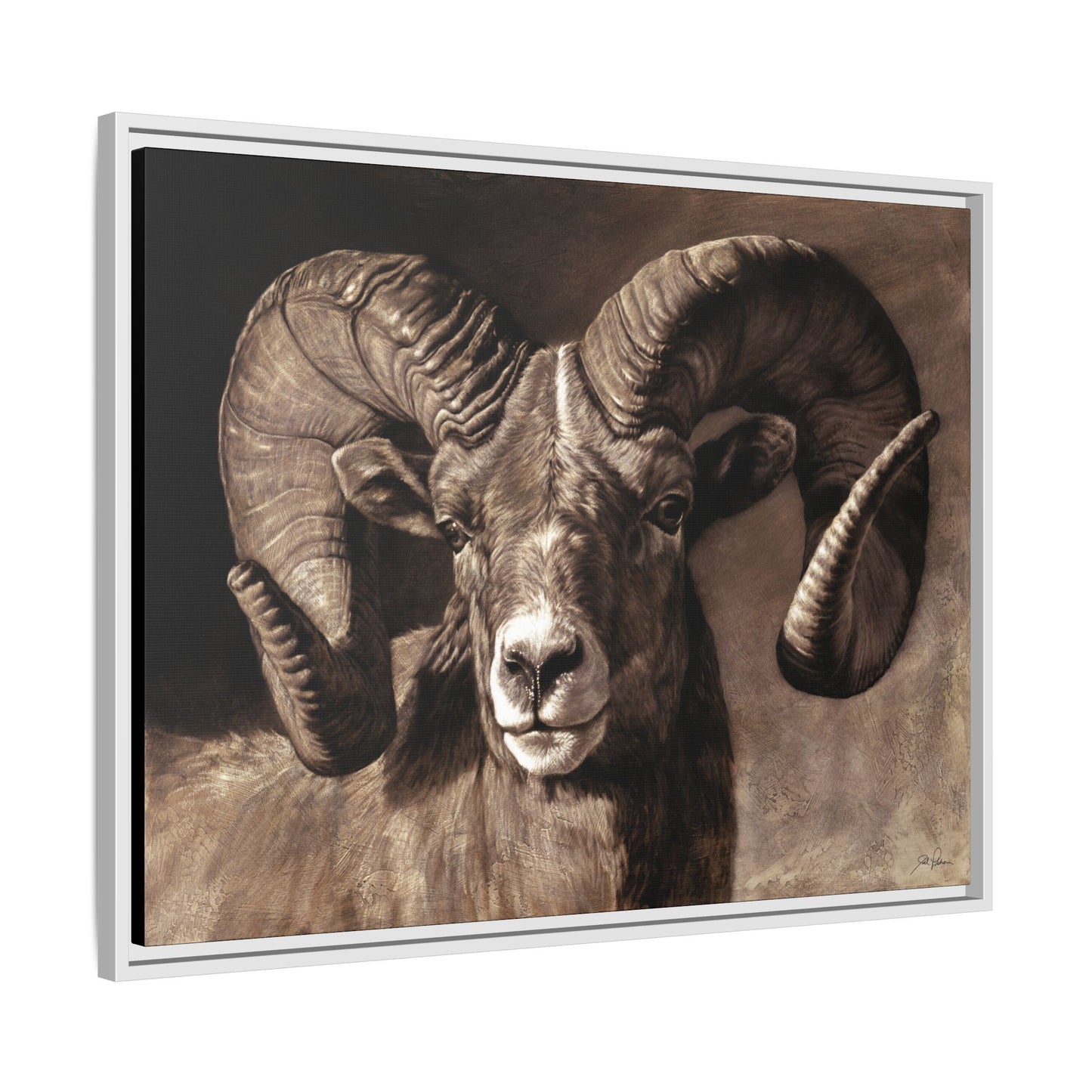 "Full Curl" Framed Canvas