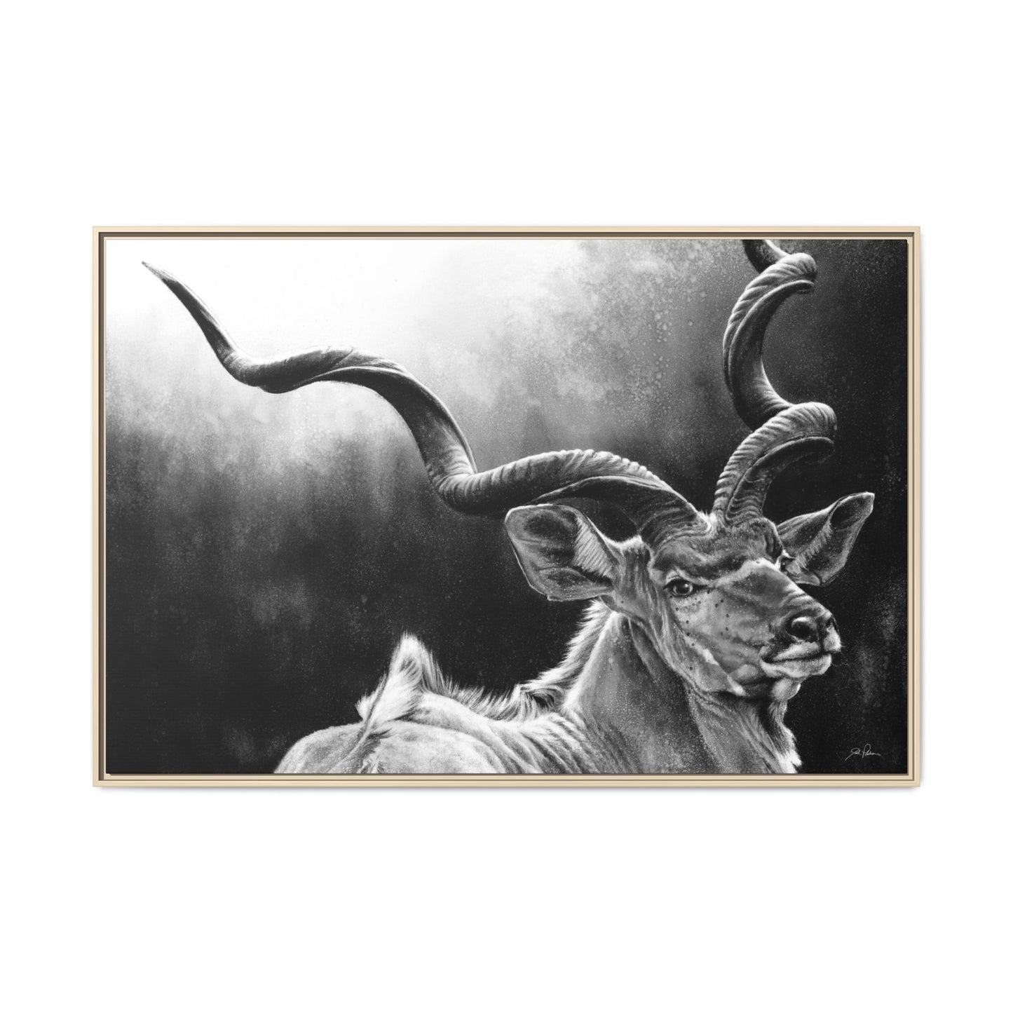 "Kudu" Framed Canvas