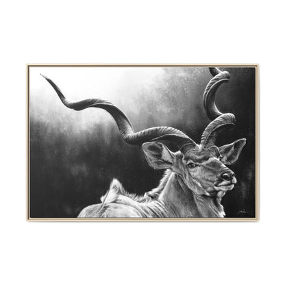 "Kudu" Framed Canvas