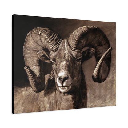 "Full Curl" Stretched Canvas