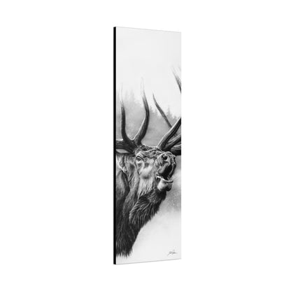 "Rocky Mountain King" Stretched Canvas