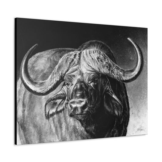 "Cape Buffalo" Gallery Wrapped Canvas