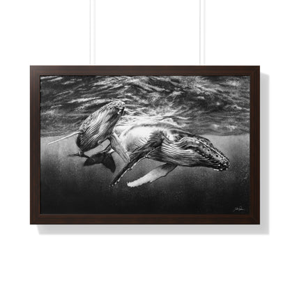 "Humpback Whales" Framed Paper Print