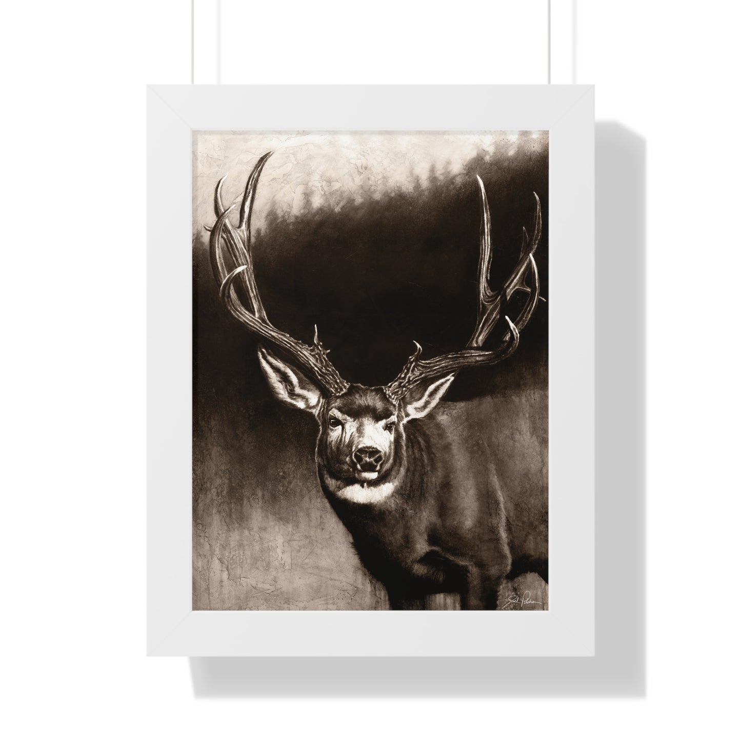 "Muley" Framed Paper Print