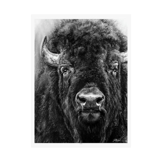 "Tatanka" Premium Matte Paper Print.