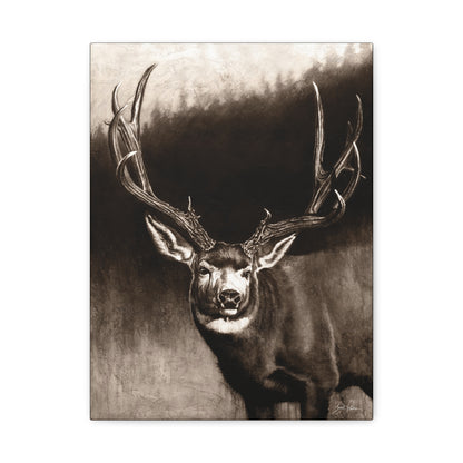 "Muley" Stretched Canvas