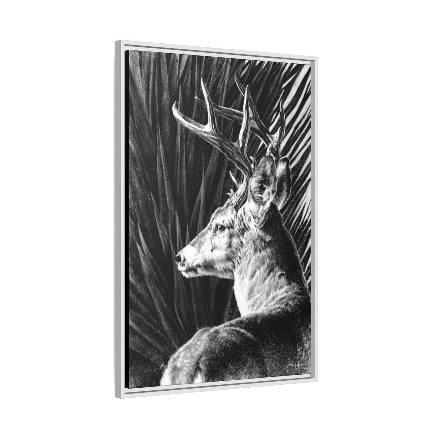 "Coues Buck" Framed Canvas