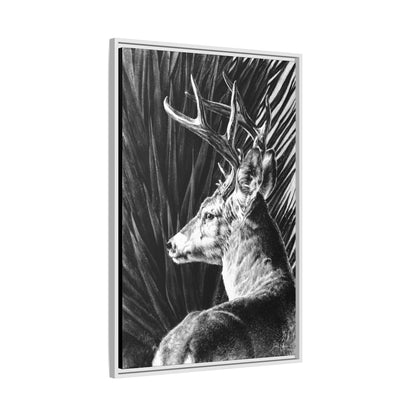 "Coues Buck" Framed Canvas
