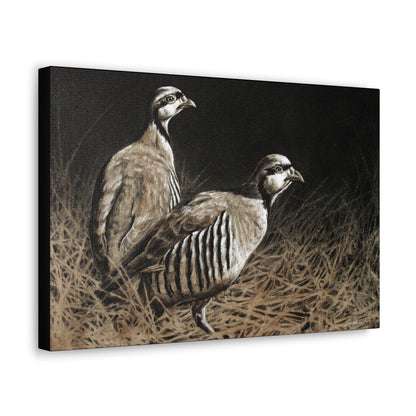 "Chukars" Gallery Wrapped Canvas