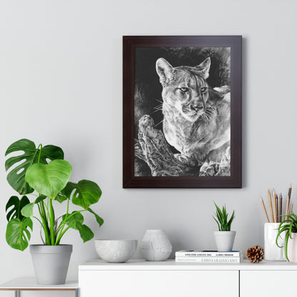 "Mountain Lion" Framed Paper Print