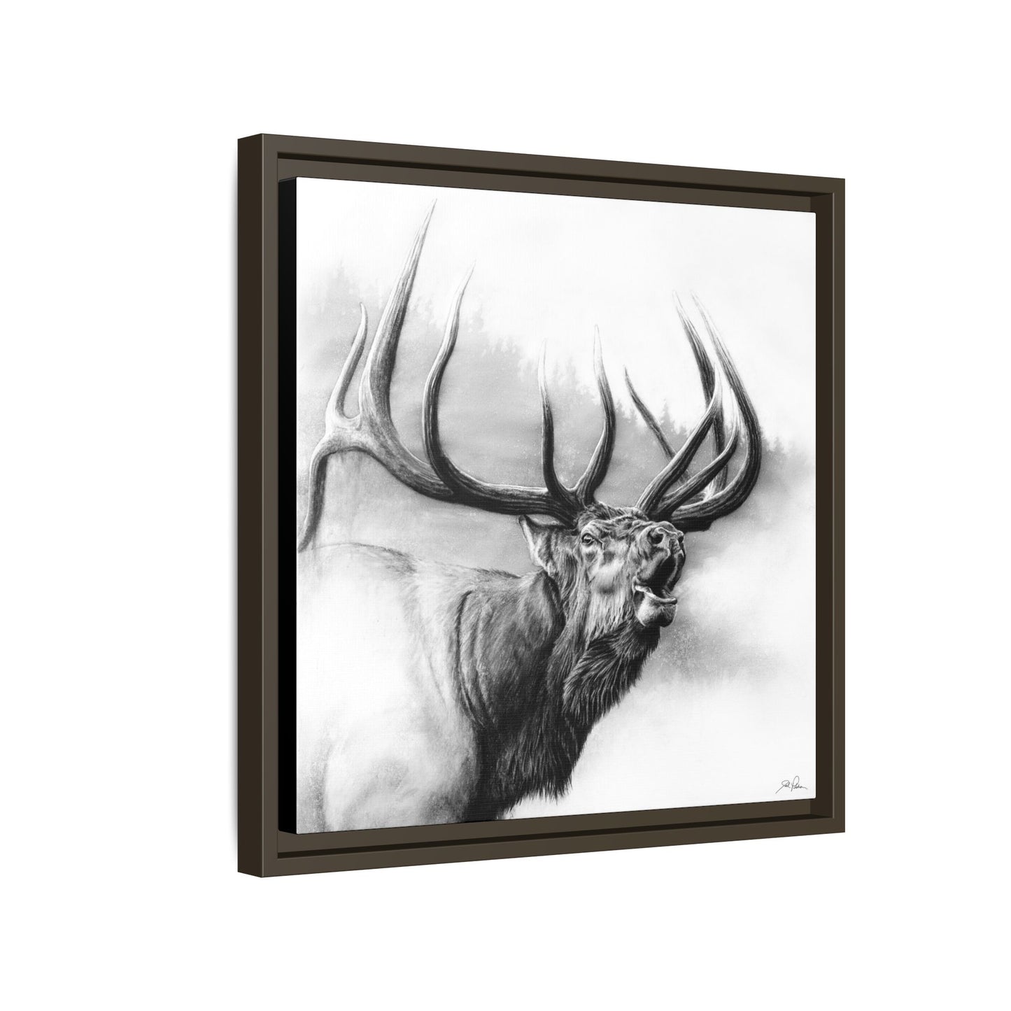 "Rocky Mountain King" Framed Canvas