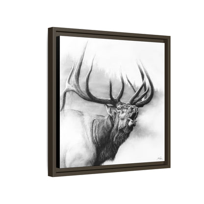 "Rocky Mountain King" Framed Canvas