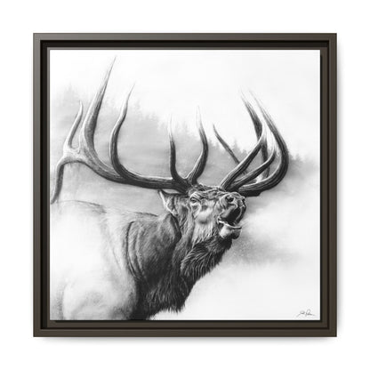 "Rocky Mountain King" Framed Canvas