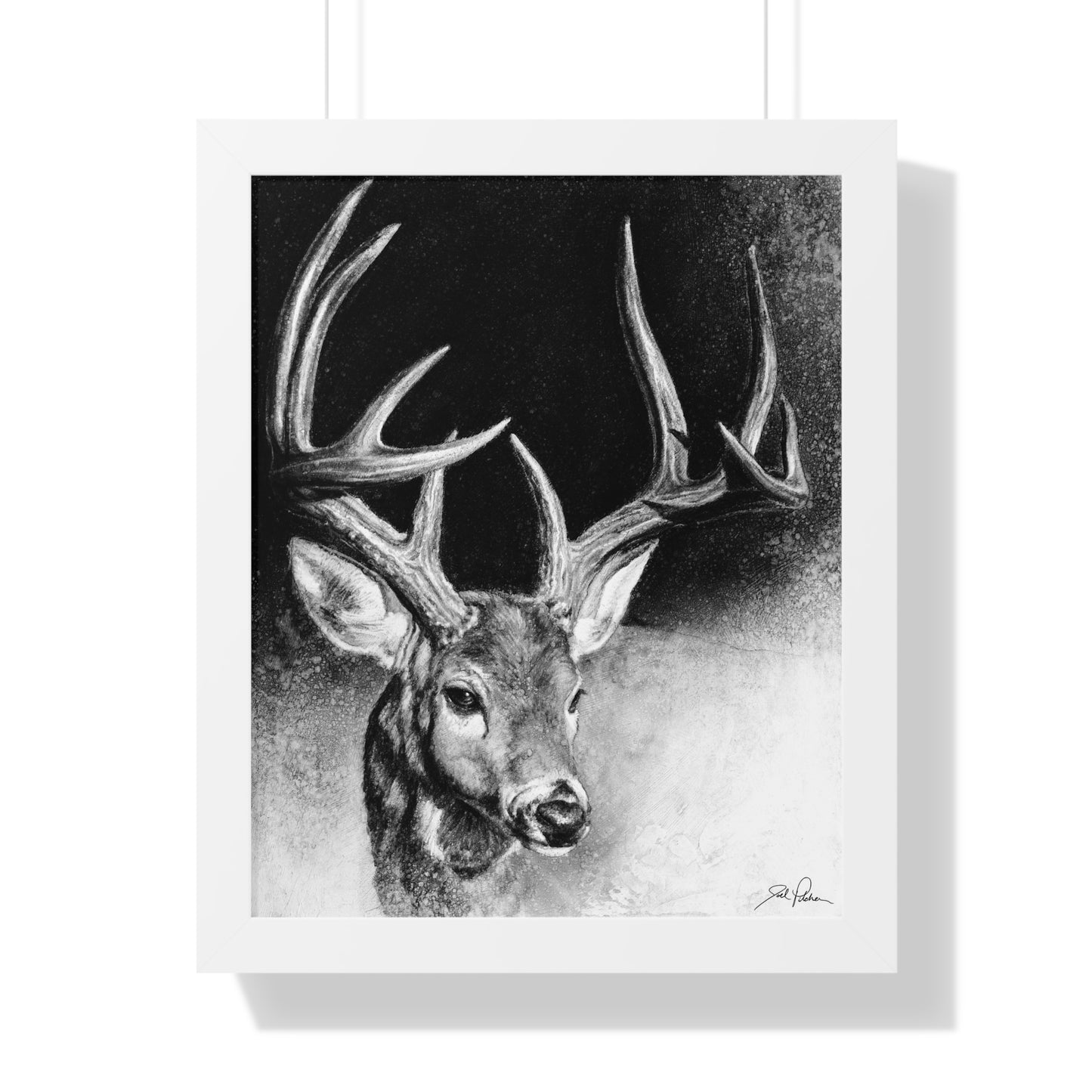 "Whitetail Buck" Framed Paper Print.
