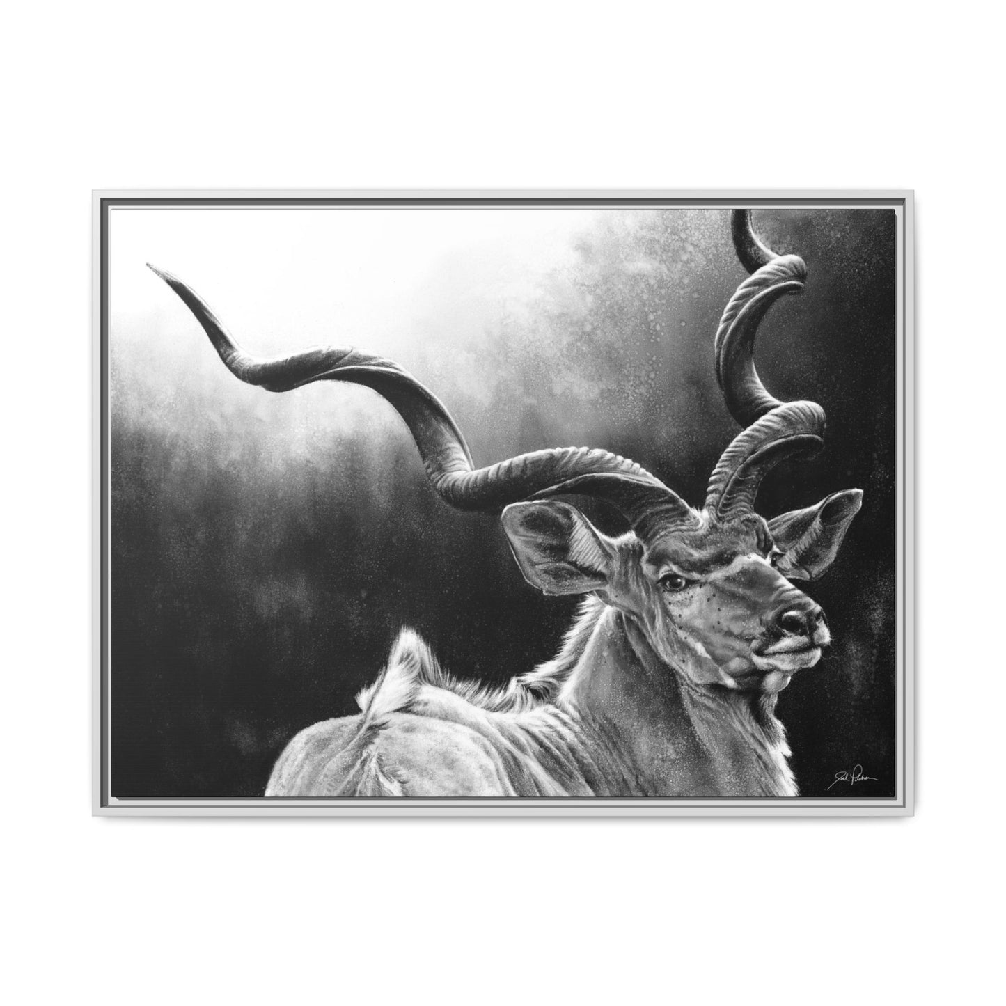 "Kudu" Framed Canvas